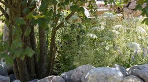 Sophie Leo's Where Grief Grows Quiet garden
